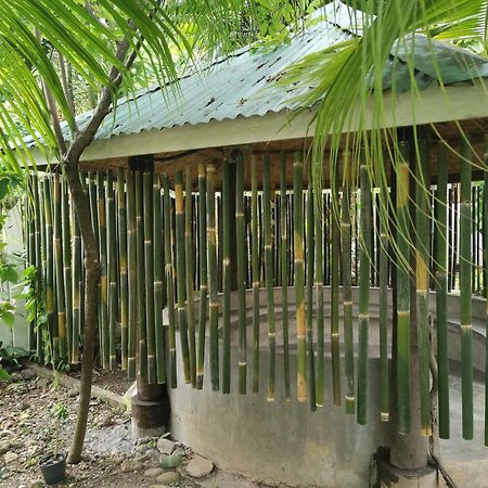 La Vida Hostel Samal Island エクステリア 写真