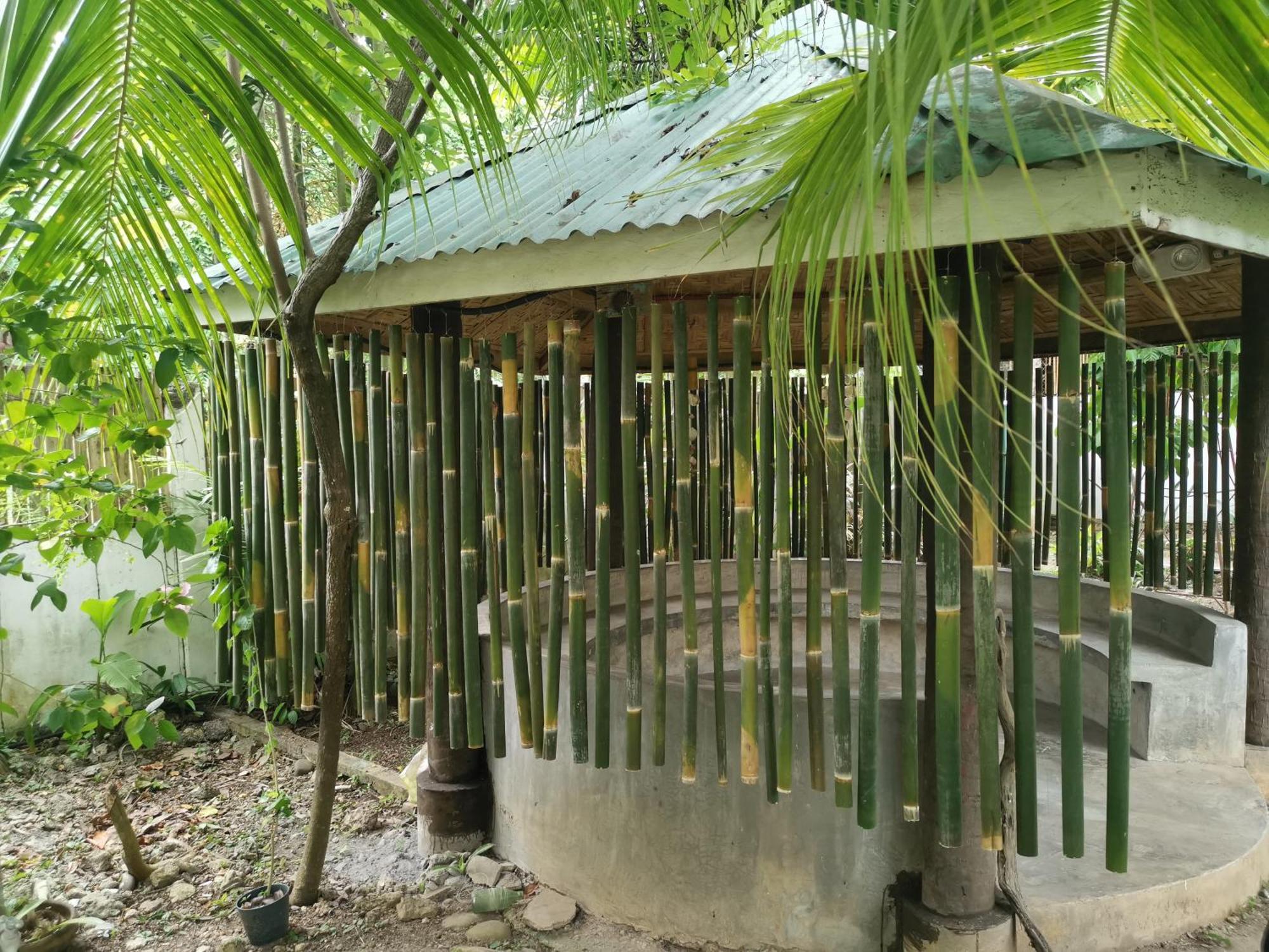La Vida Hostel Samal Island エクステリア 写真
