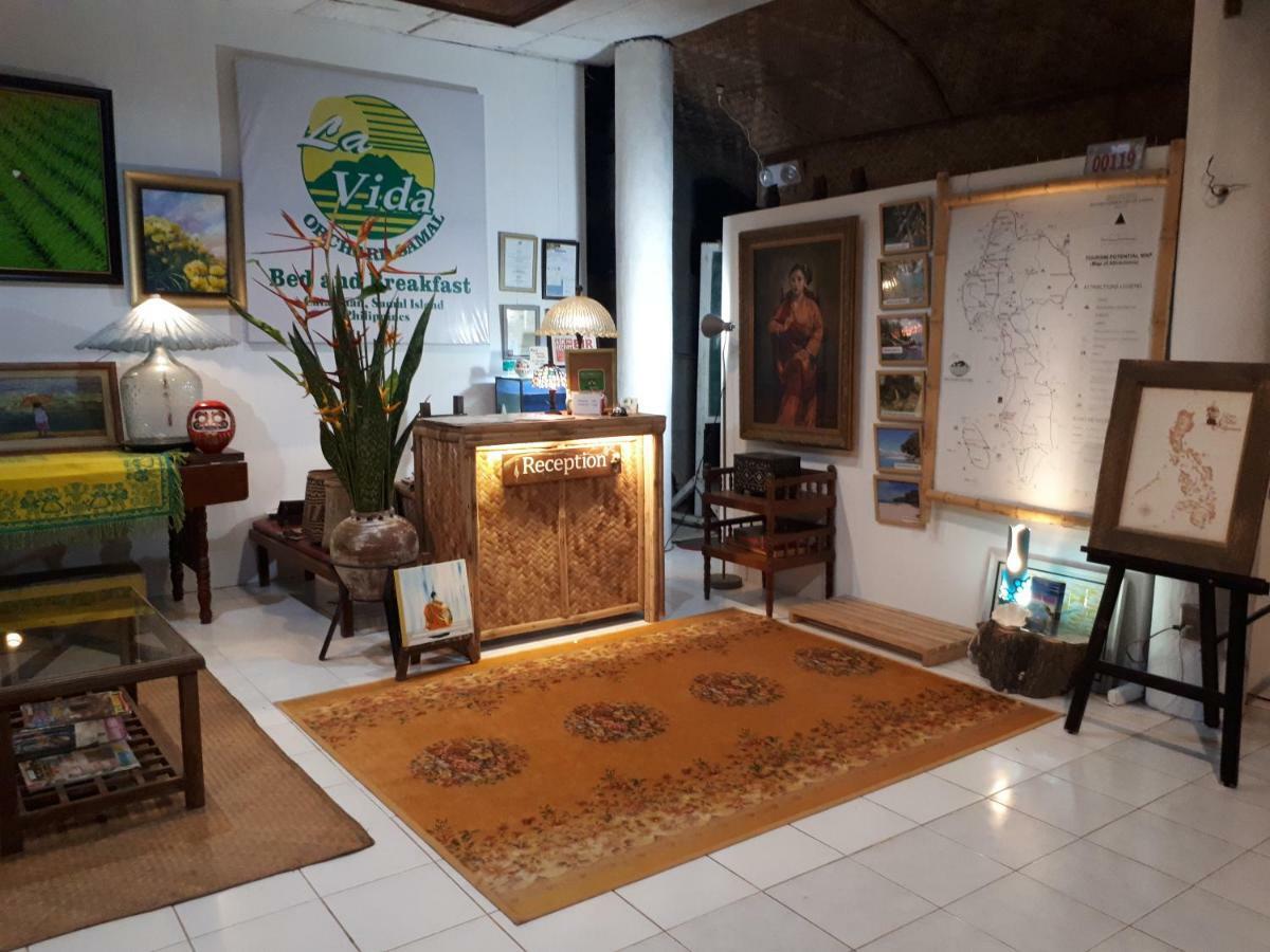La Vida Hostel Samal Island エクステリア 写真